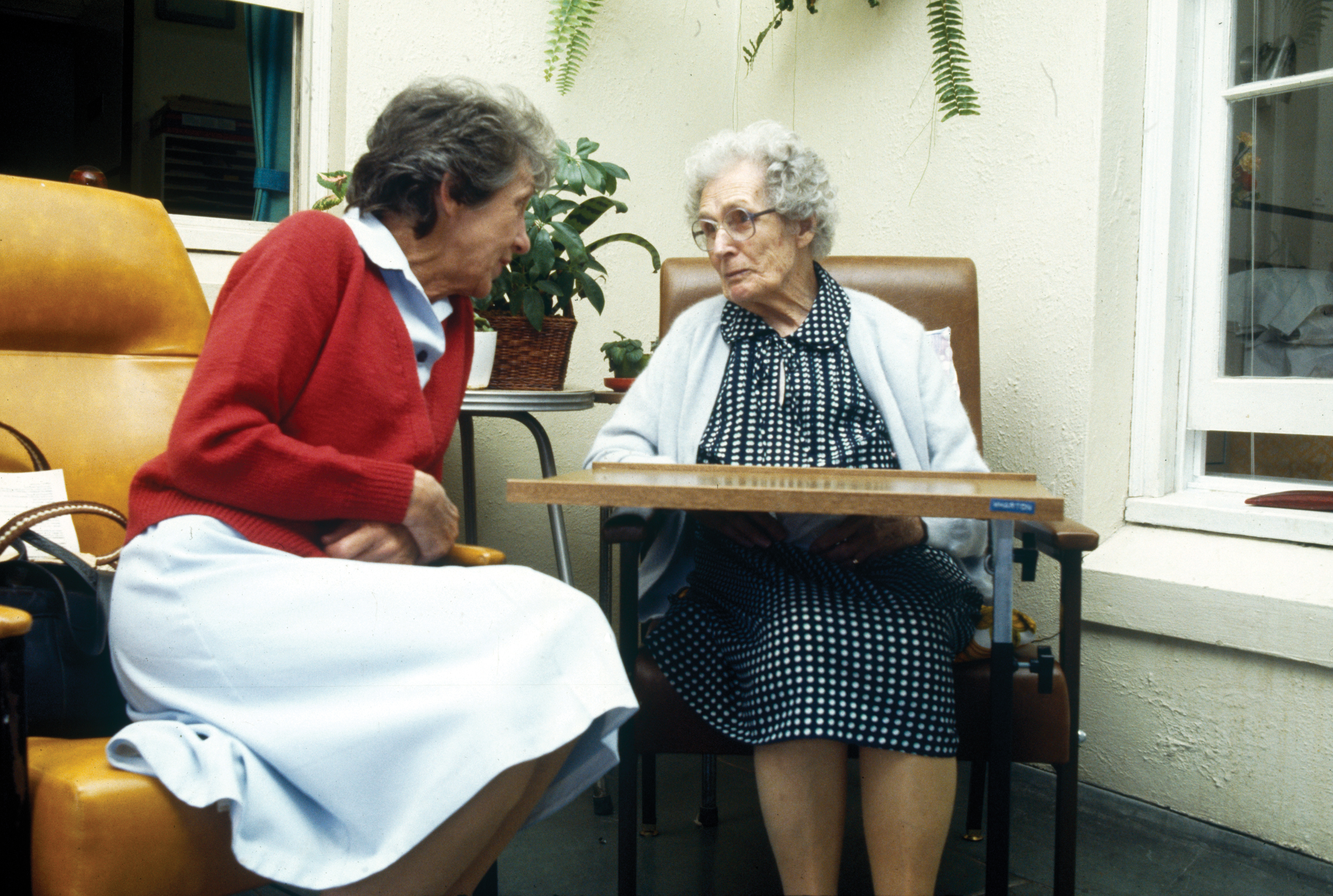 Our History | School for Seniors Our History | School for Seniors